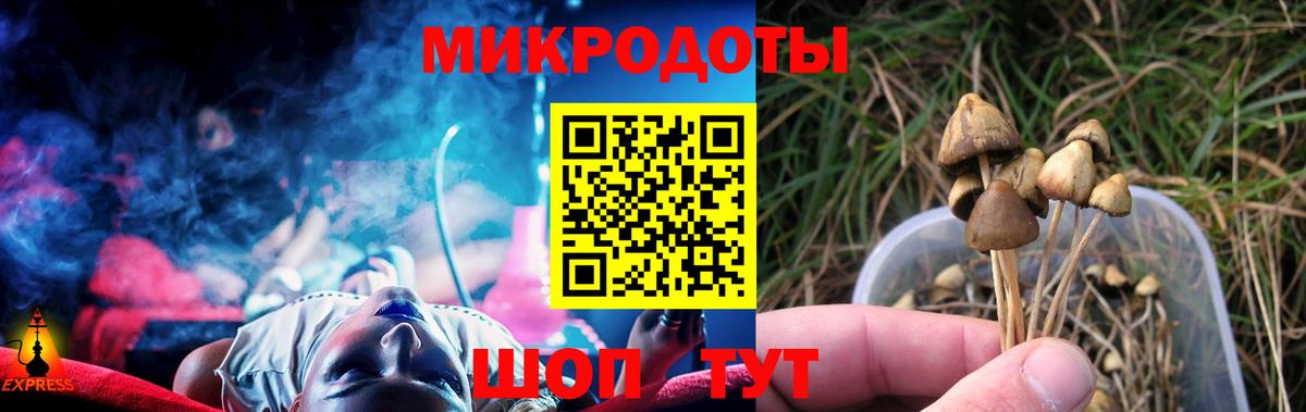 Тольятти  Псилоцибиновые грибы Psilocybe  Вход с VPN 