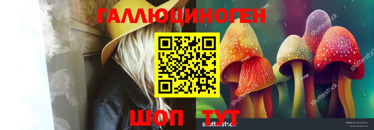 Псилоцибиновые грибы Cubensis Тольятти